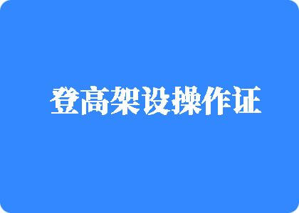 操逼网站黄色登高架设操作证