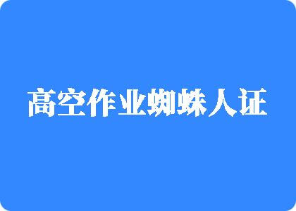 九·幺暗网高空作业蜘蛛人证